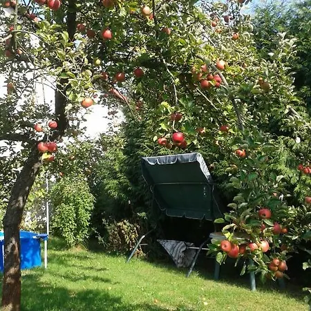 Πανσιόν Eko-penzion Hamry 2*